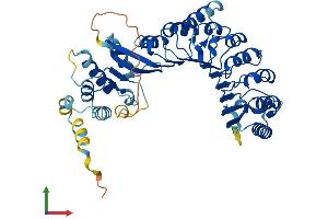 AlphaFold protein structure predicition of Human Recombinant PRAMEF8 Protein, UniprotID Q5VWM4 (PRAMEF8 Protein (AA 1-474) (His tag))