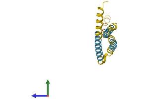 Protein Structure (PS) image for Ninjurin 2 (NINJ2) (AA 1-143) protein (His tag) (ABIN7561667)