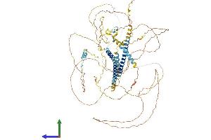AlphaFold protein structure predicition of Mouse Recombinant Dact1 Protein, UniprotID Q8R4A3