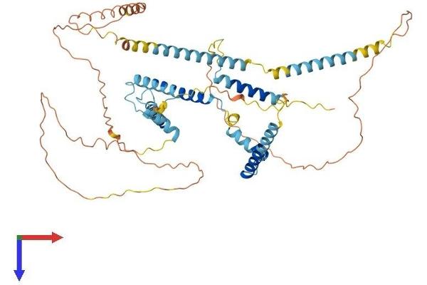 NSRP1 Protein (AA 1-558) (His tag)
