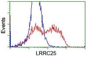 HEK293T cells transfected with either RC209911 overexpress plasmid (Red) or empty vector control plasmid (Blue) were immunostained by anti-LRRC25 antibody (ABIN2455881), and then analyzed by flow cytometry. (LRRC25 antibody)