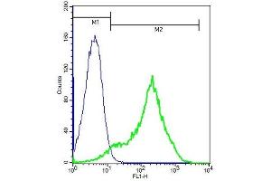 Mouse splenocytes probed with Rabbit Anti-Frizzled 10/CD350 Polyclonal Antibody (ABIN1714166) at 1:100 for 60 minutes followed by incubation with Goat Anti-Rabbit IgG FITC conjugated secondary at 1:100 (green) for 40 minutes compared to cont (FZD10 antibody  (AA 101-200))