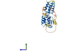 AlphaFold protein structure predicition of Mouse Recombinant Lrrc75b Protein, UniprotID Q7TPD7 (LRRC75B/FAM211B Protein (AA 1-306) (His tag))
