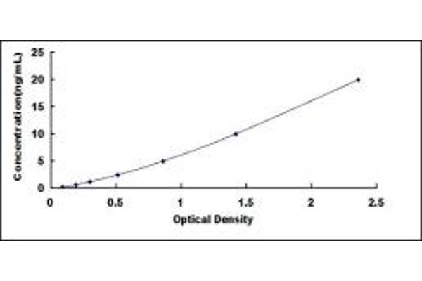 WFDC2 ELISA Kit