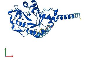 Protein Structure (PS) image for Glycerophosphodiester Phosphodiesterase Domain Containing 3 (GDPD3) (AA 1-318) protein (His tag) (ABIN7547938)
