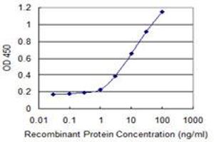 Detection limit for recombinant GST tagged MFRP is 0. (MFRP antibody  (AA 480-579))