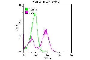 Recombinant CD21 antibody