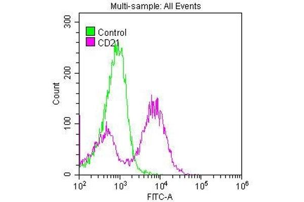 Recombinant CD21 antibody