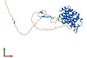 AlphaFold protein structure predicition of Human Recombinant PACRG Protein, UniprotID Q96M98 (PACRG Protein (AA 1-296) (His tag))