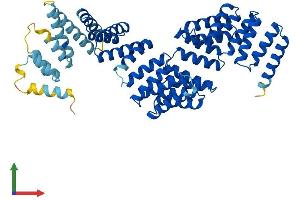 Protein Structure (PS) image for Tetratricopeptide Repeat Domain 6 (TTC6) (AA 1-520) protein (His tag) (ABIN7544853)