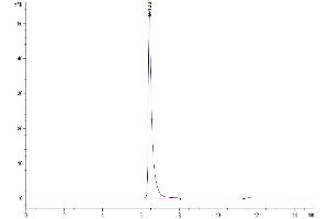 The purity of Human B7-H3b is greater than 95 % as determined by SEC-HPLC. (CD276 Protein (CD276) (AA 27-461) (Fc Tag))
