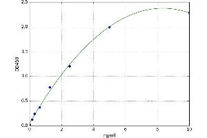 Heparan Sulfate Proteoglycan 2 (HSPG2) ELISA Kit