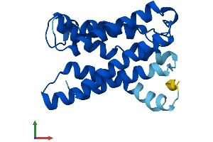 Protein Structure (PS) image for KDEL (Lys-Asp-Glu-Leu) Endoplasmic Reticulum Protein Retention Receptor 1 (KDELR1) (AA 1-212) protein (His tag) (ABIN7560312)
