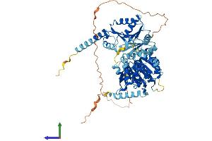 Protein Structure (PS) image for DEAD (Asp-Glu-Ala-Asp) Box Polypeptide 43 (DDX43) (AA 1-648) protein (His tag) (ABIN7547050)