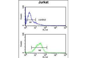Flow cytometry analysis of Jurkat cells (bottom histogram) compared to a negative control cell (top histogram).