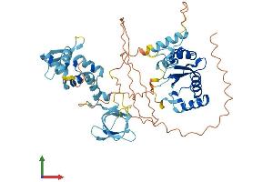 Protein Structure (PS) image for Gypsy Retrotransposon Integrase 1 (GIN1) (AA 1-518) protein (His tag) (ABIN7559492)