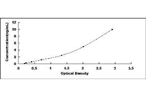 Typical standard curve (IgG4 ELISA Kit)