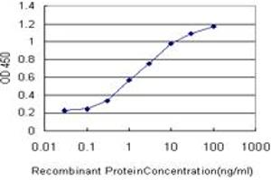 Detection limit for recombinant GST tagged MTF1 is approximately 0. (MTF1 antibody  (AA 41-140))