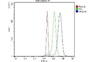 Flow Cytometry analysis of U937 cells using anti-RPS2 antibody (ABIN7601997). (RPS2 antibody  (AA 54-293))