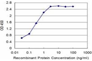 Detection limit for recombinant GST tagged SCML1 is approximately 0. (SCML1 antibody  (AA 3-100))