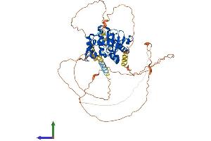 AlphaFold protein structure predicition of Human Recombinant SENP2 Protein, UniprotID Q9HC62