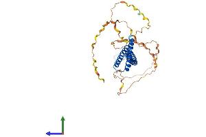 AlphaFold protein structure predicition of Human Recombinant VPS37C Protein, UniprotID A5D8V6 (VPS37C Protein (AA 1-355) (His tag))