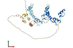 AlphaFold protein structure predicition of Human Recombinant ZNF550 Protein, UniprotID Q7Z398 (ZNF550 Protein (AA 1-422) (His tag))