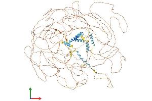 Protein Structure (PS) image for SET Binding Protein 1 (SETBP1) (AA 1-1596) protein (His tag) (ABIN7555474)