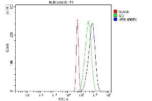 Flow Cytometry analysis of A431 cells using anti-NFIB/NF1B2 antibody (ABIN7602995). (NFIB antibody  (Middle Region))