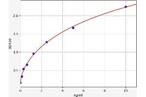 Uromodulin ELISA Kit