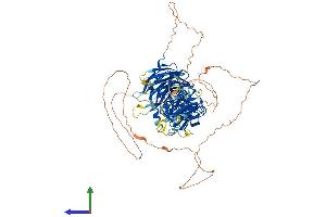 AlphaFold protein structure predicition of Mouse Recombinant Kctd3 Protein, UniprotID Q8BFX3 (KCTD3 Protein (AA 1-815) (His tag))