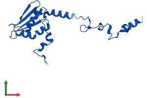 Protein Structure (PS) image for Mitochondrial Ribosomal Protein S25 (MRPS25) (AA 1-171) protein (His tag) (ABIN7560863)