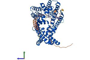 AlphaFold protein structure predicition of Mouse Recombinant Mboat2 Protein, UniprotID Q8R3I2 (MBOAT2 Protein (AA 1-519) (His tag))