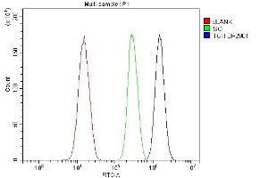 Flow Cytometry analysis of SiHa cells using anti-ITCH/AIP4 antibody (ABIN7600264). (ITCH antibody  (AA 17-358))