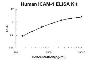 Human ICAM-1 PicoKine ELISA Kit standard curve (ICAM1 ELISA Kit)