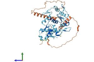 AlphaFold protein structure predicition of Human Recombinant ZNF514 Protein, UniprotID Q96K75