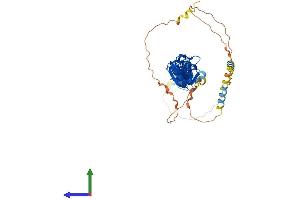 Protein Structure (PS) image for Transforming Growth Factor beta 1 Induced Transcript 1 (TGFB1I1) (AA 1-461) protein (His tag) (ABIN7555721)