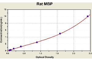 Diagramm of the ELISA kit to detect Rat MBPwith the optical density on the x-axis and the concentration on the y-axis.