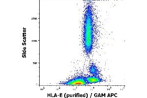 Flow cytometry surface staining pattern of human peripheral blood stained using anti-human HLA-E (3D12) purified antibody (concentration in sample 4 μg/mL) GAM APC. (HLA-E antibody)