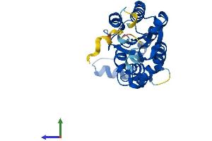 AlphaFold protein structure predicition of Human Recombinant IAH1 Protein, UniprotID Q2TAA2