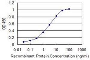 Detection limit for recombinant GST tagged CALM3 is 0. (Calmodulin 3 antibody  (AA 53-149))