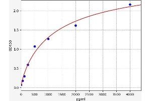 LCN12 ELISA Kit