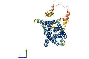 AlphaFold protein structure predicition of Human Recombinant SLC39A13 Protein, UniprotID Q96H72