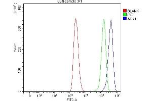 Flow Cytometry analysis of THP-1 cells using anti-ACY-1/ACY1 antibody (ABIN7602484). (Aminoacylase 1 antibody  (AA 8-354))