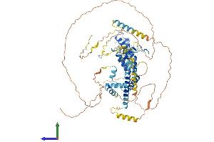 AlphaFold protein structure predicition of Human Recombinant BRD7 Protein, UniprotID Q9NPI1 (BRD7 Protein (AA 1-651) (His tag))