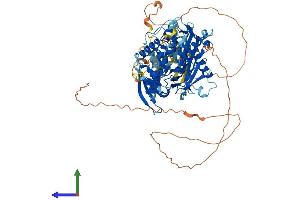 Protein Structure (PS) image for Adenosine Deaminase, RNA-Specific, B2 (ADARB2) (AA 1-745) protein (His tag) (ABIN7561529)