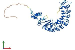 AlphaFold protein structure predicition of Human Recombinant FBXL3 Protein, UniprotID Q9UKT7