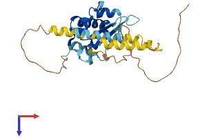 AlphaFold protein structure predicition of Human Recombinant KHDC1 Protein, UniprotID Q4VXA5 (KHDC1 Protein (AA 1-237) (His tag))
