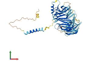 Protein Structure (PS) image for Integrin alpha FG-GAP Repeat Containing 3 (ITFG3) (AA 1-552) protein (His tag) (ABIN7547416)