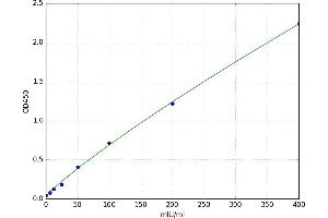 Acrosin (ACR) ELISA Kit